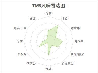 TMS—馬踏青風(fēng)